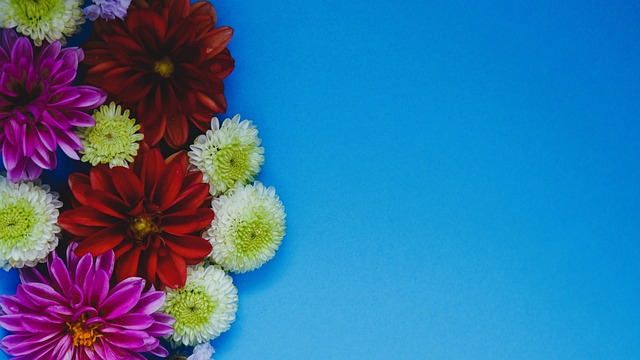 中超转会市场大变动！三笔重大交易同时曝光，深圳大连国安成最大赢家